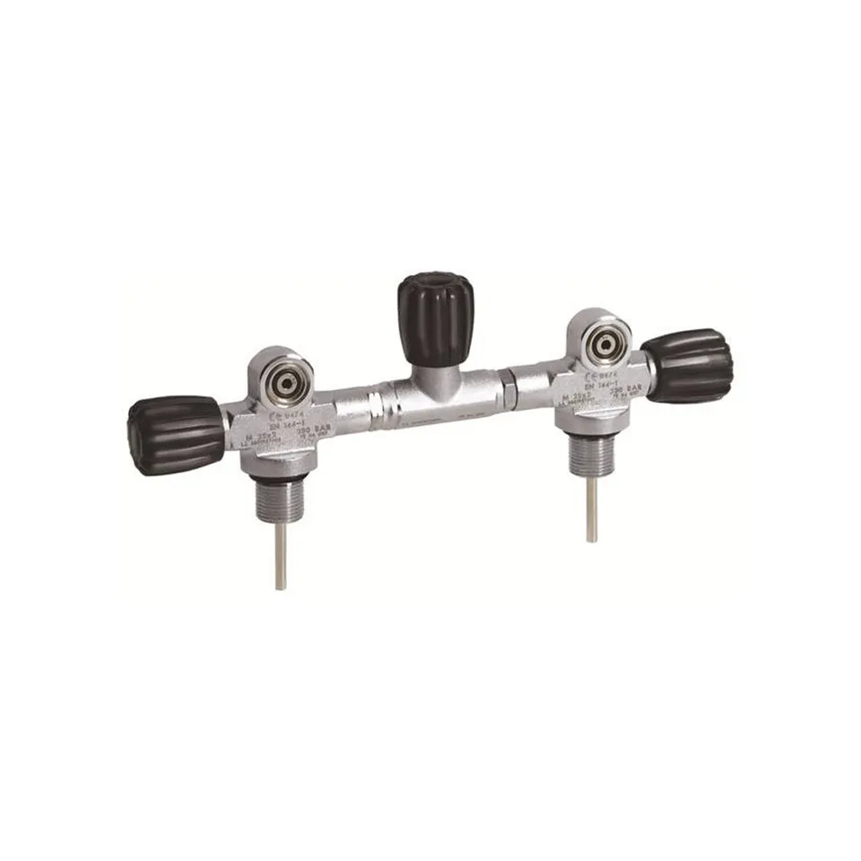 caseliner-double-manifold-204-s-doppelventil-230-bar-silber image 1