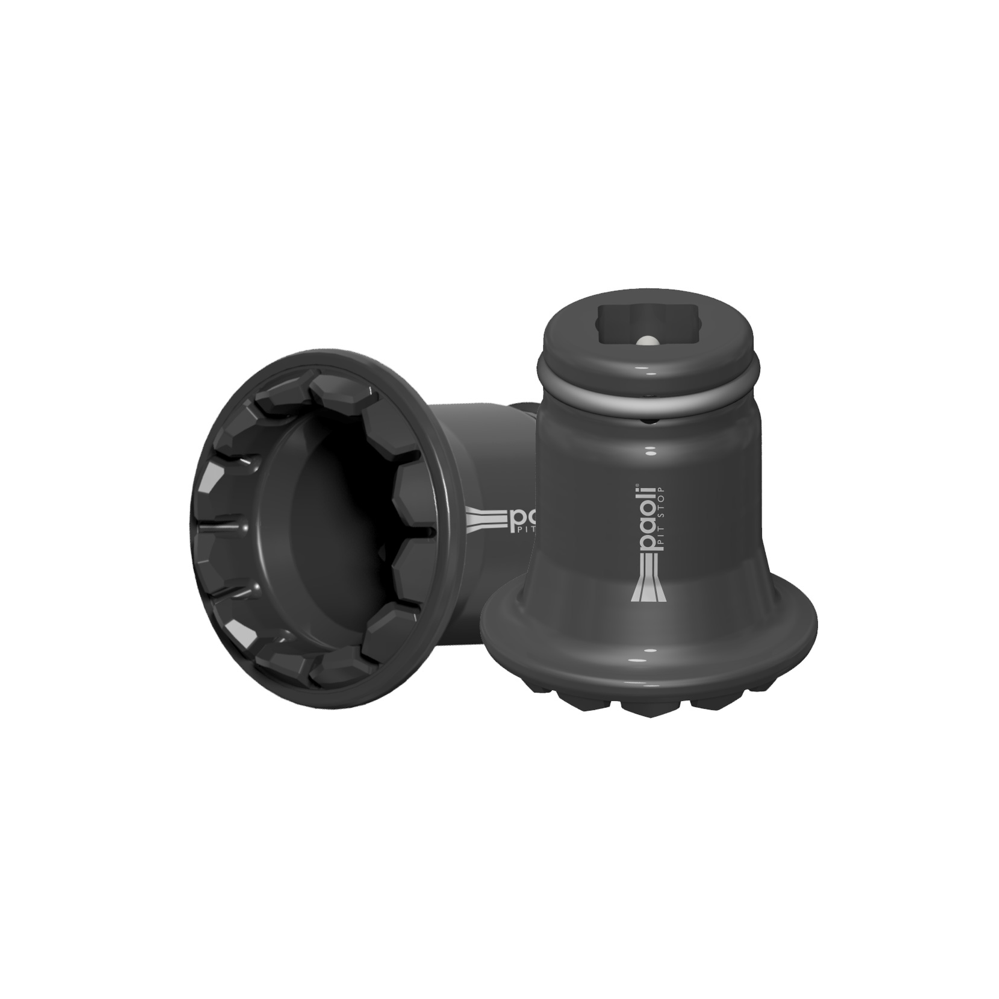 paoli-stecknuss-f488-f296-spline-stahl-12z image 3